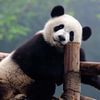 kevinlee12069